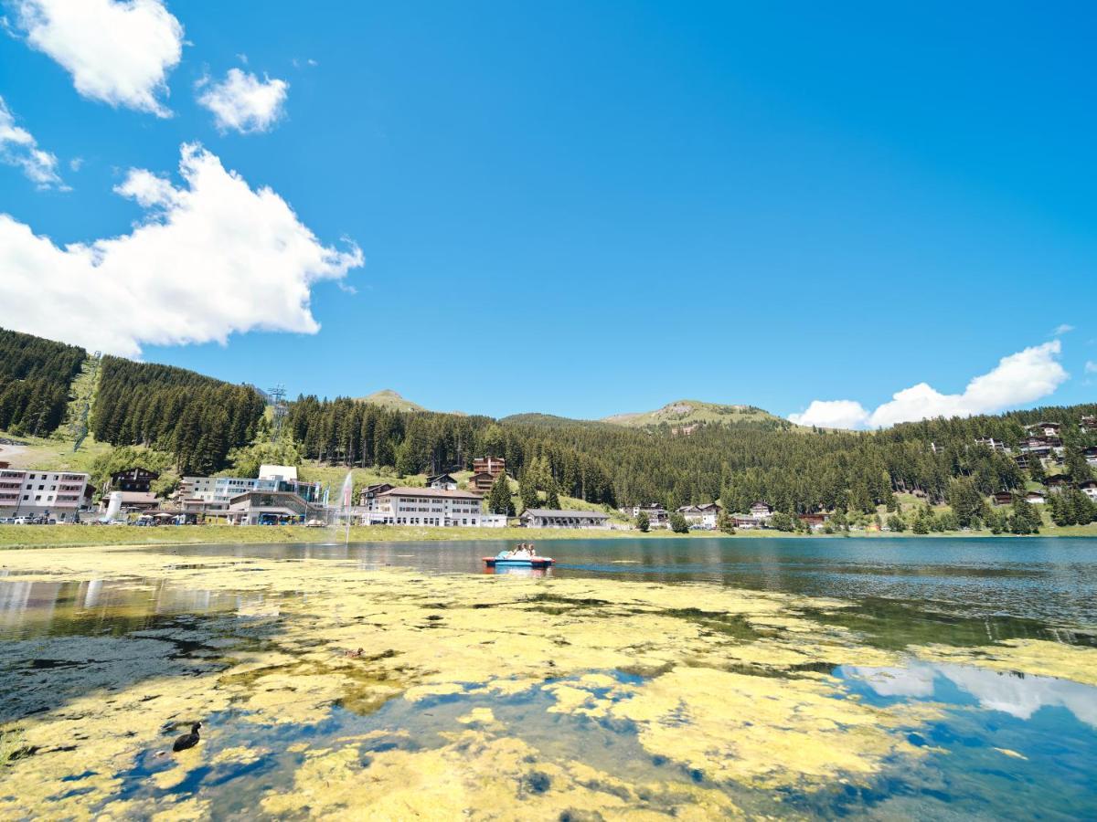 Haus Padrun 6 By Arosa Vacations Lejlighed Eksteriør billede
